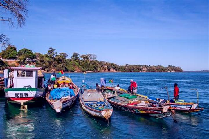 Escorts Cacine, Guinea-Bissau — Local Companions