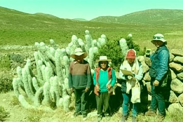 Escorts Cahuacho, Peru — Local Companions