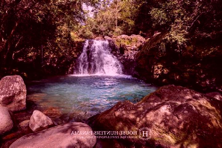 Escorts Caldera, Panama — Local Companions