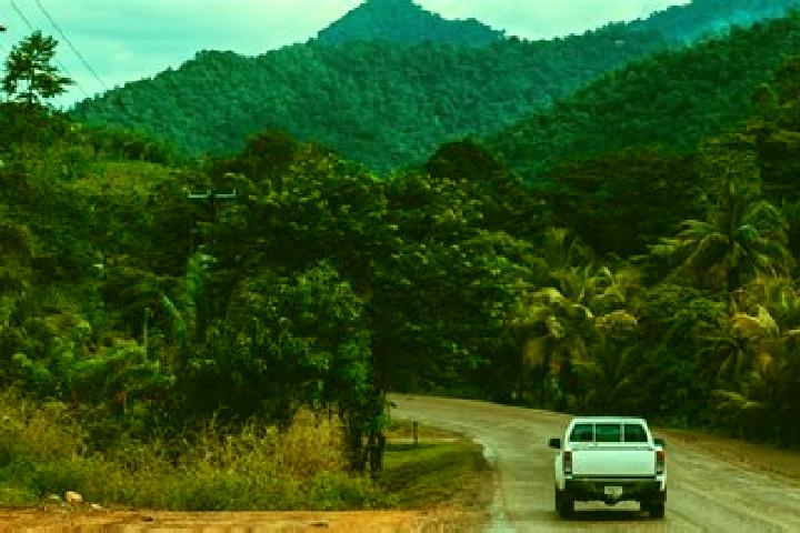 Escorts Callac Creek, Belize — Local Companions