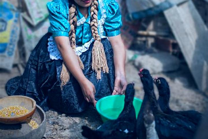 Escorts Callanca, Peru — Local Companions