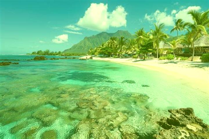 Escorts Calodyne, Mauritius — Local Companions