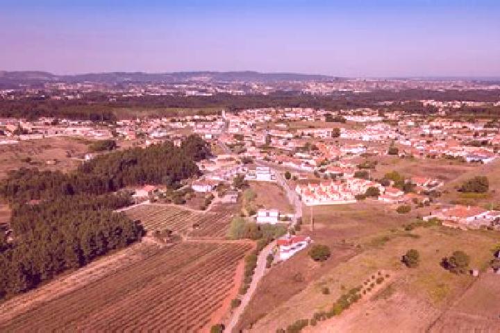 Escorts Calvaria de Cima, Portugal — Local Companions