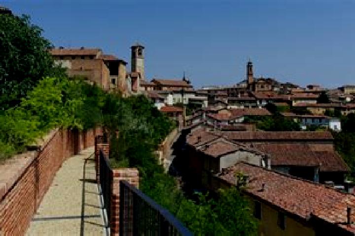 Escorts Camagna Monferrato, Italy — Local Companions