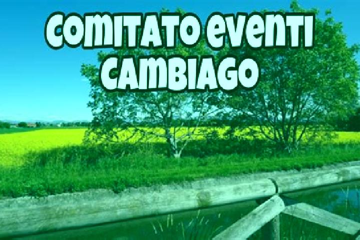 Escorts Cambiago, Italy — Local Companions