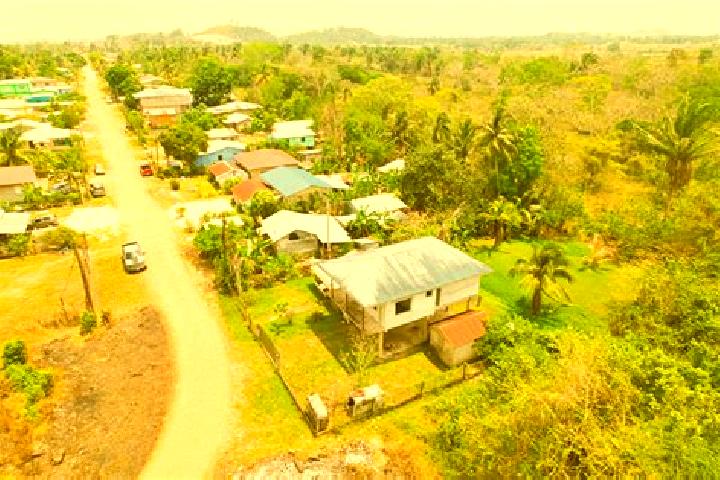 Escorts Camelote, Belize — Local Companions