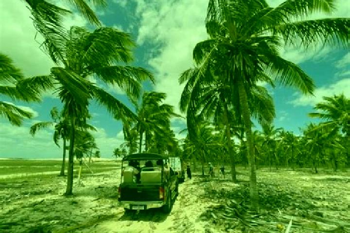 Escorts Camocim de Sao Felix, Brazil — Local Companions