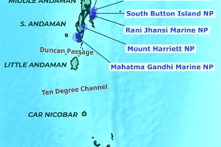 Escorts Campbell Bay, India — Local Companions