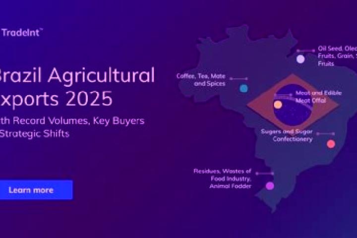 Escorts Campos Sales, Brazil — Local Companions