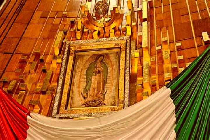 Escorts Canada de Guadalupe, Mexico — Local Companions