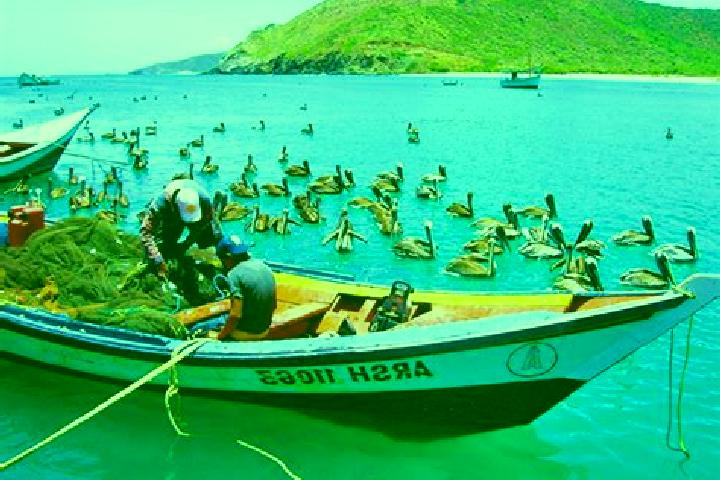 Escorts Canape Capatarida, Venezuela — Local Companions