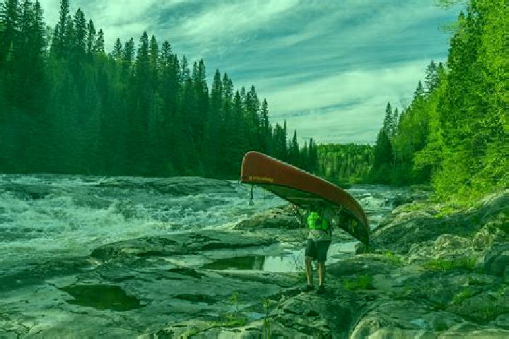 Escorts Canoe, Canada — Local Companions