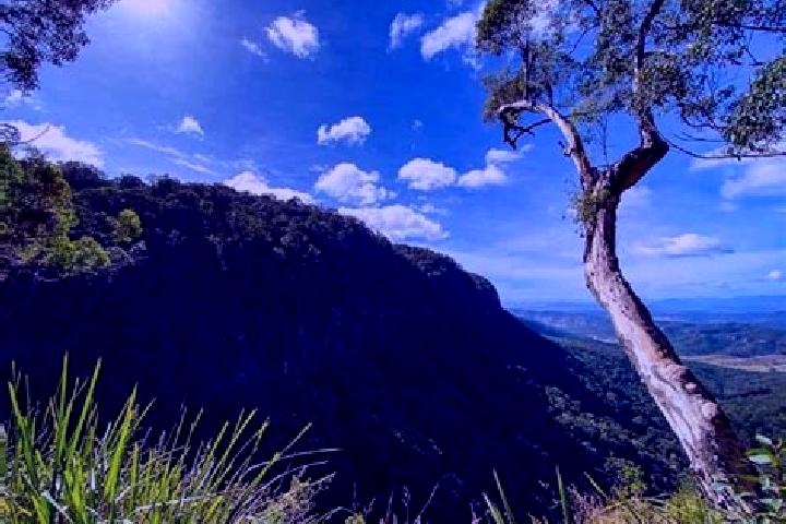 Escorts Canungra, Australia — Local Companions