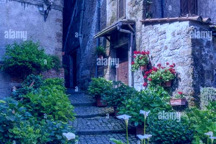 Escorts Capranica, Italy — Local Companions