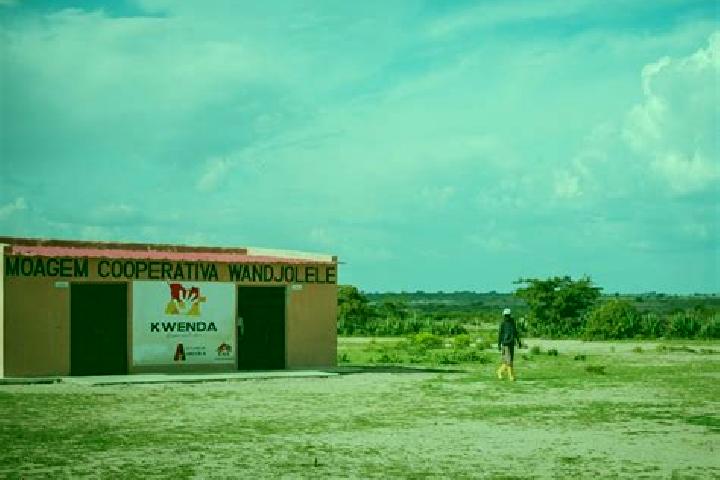 Escorts Capunda Cavilongo, Angola — Local Companions