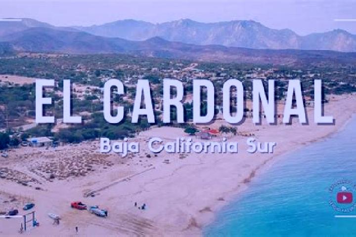 Escorts Cardonal, Mexico — Local Companions