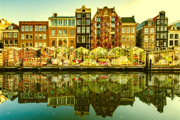 Escorts Carnisse, Netherlands — Local Companions