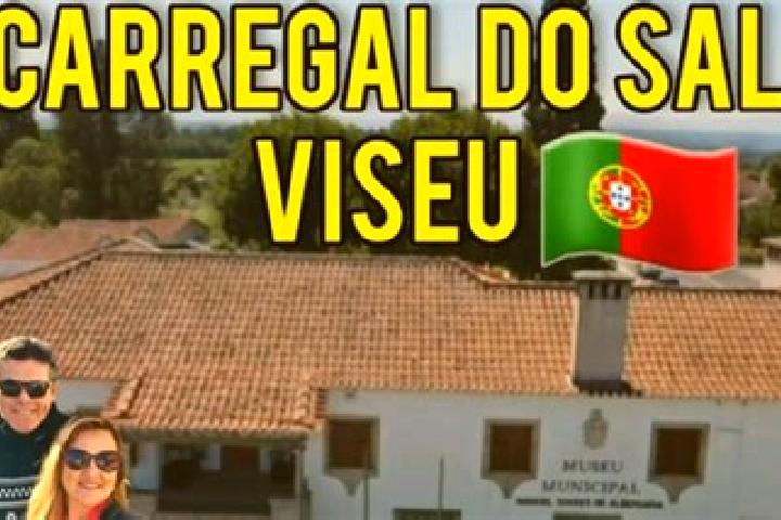 Escorts Carregal do Sal, Portugal — Local Companions