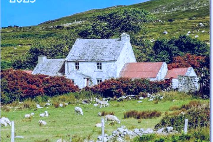 Escorts Carrignavar, Ireland — Local Companions