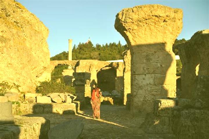 Escorts Carthage, Tunisia — Local Companions