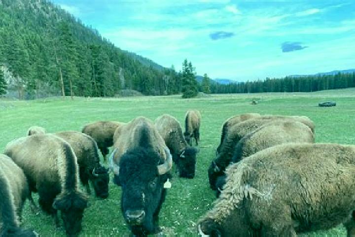 Escorts Carver Ranches, United States — Local Companions