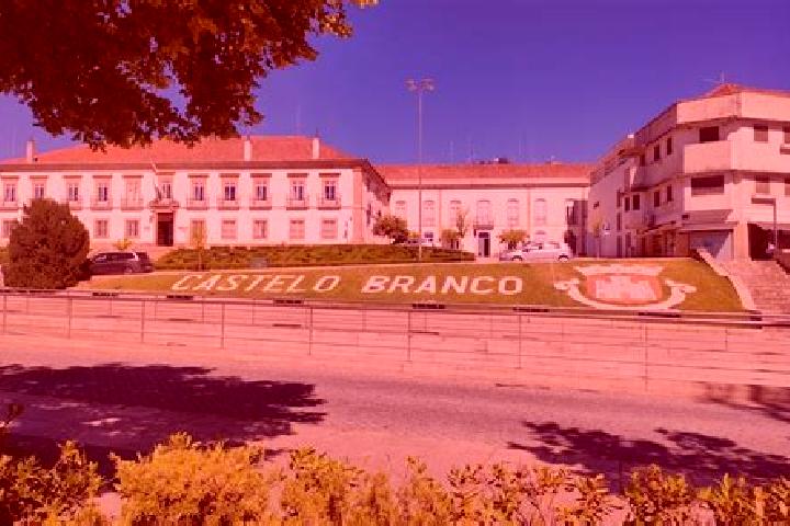Escorts Castelo Branco, Portugal — Local Companions