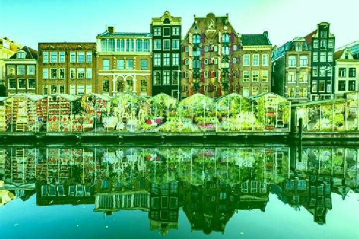 Escorts Castenray, Netherlands — Local Companions