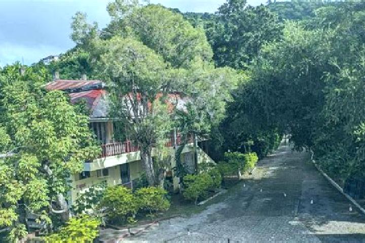 Escorts Castle Comfort, Dominica — Local Companions