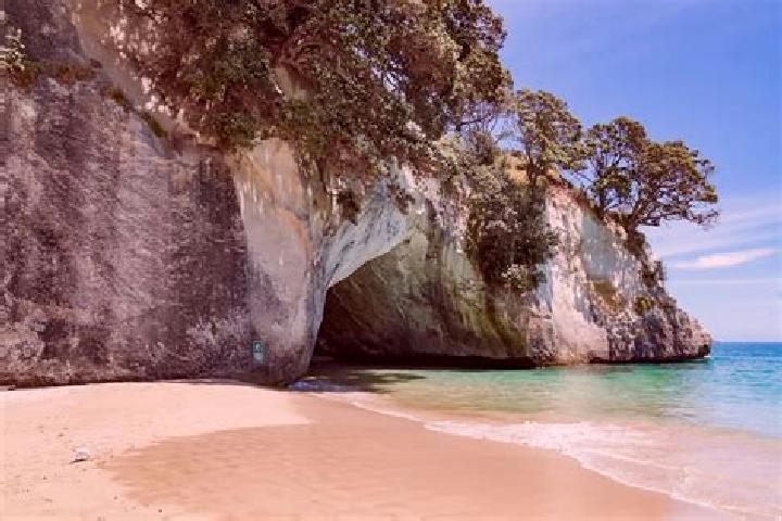 Escorts Castle Cove, Australia — Local Companions