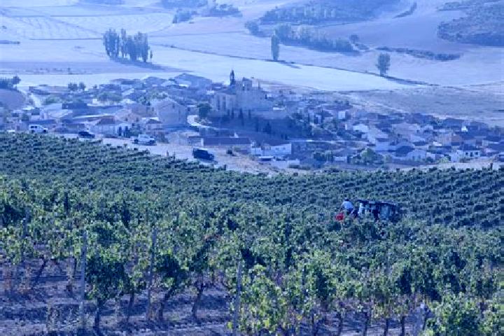 Escorts Castrillo de la Vega, Spain — Local Companions