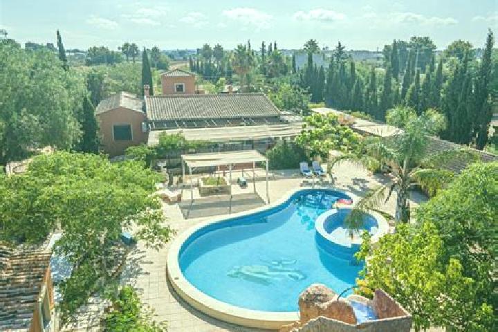 Escorts Catral, Spain — Local Companions