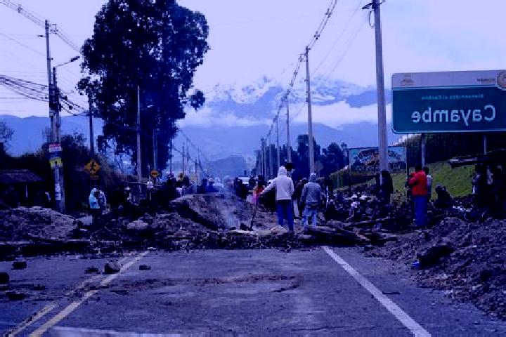 Escorts Cayambe, Ecuador — Local Companions