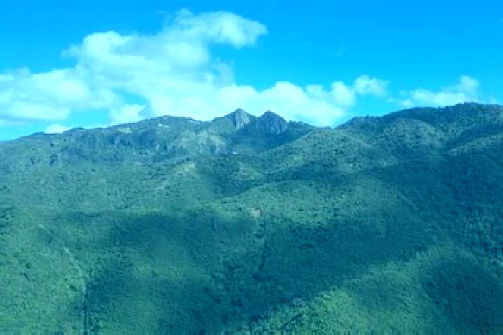 Escorts Cayey, Puerto Rico — Local Companions