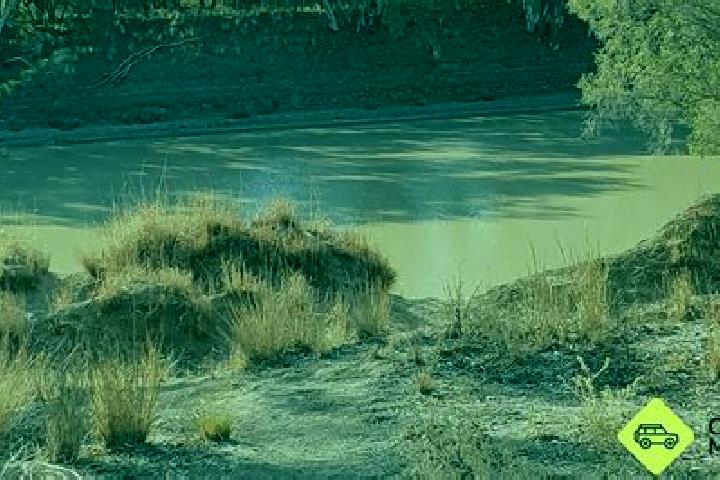 Escorts Cedar Creek, Australia — Local Companions