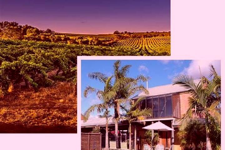 Escorts Cedar Vale, Australia — Local Companions