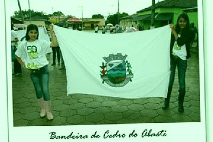 Escorts Cedro do Abaete, Brazil — Local Companions