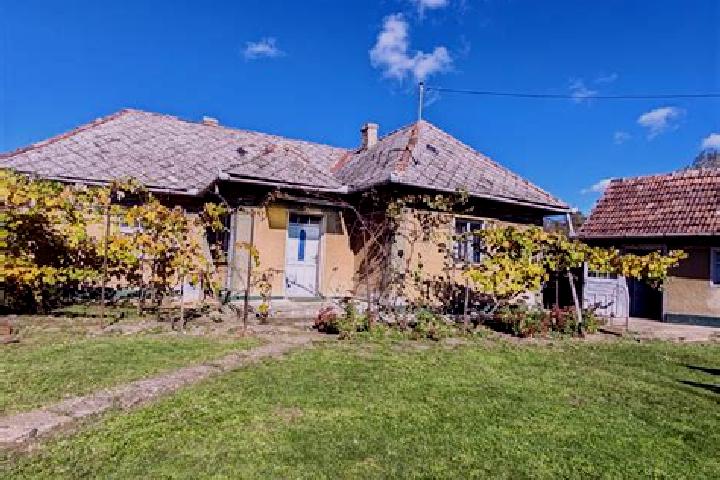 Escorts Cehal, Romania — Local Companions