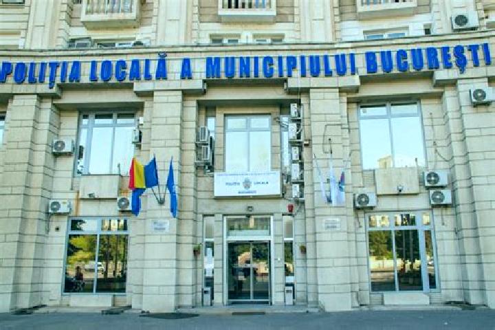 Escorts Celei, Romania — Local Companions