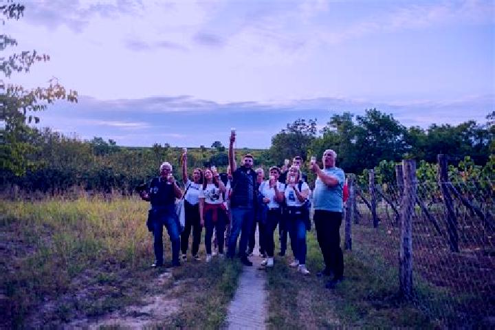 Escorts Ceminac, Croatia — Local Companions