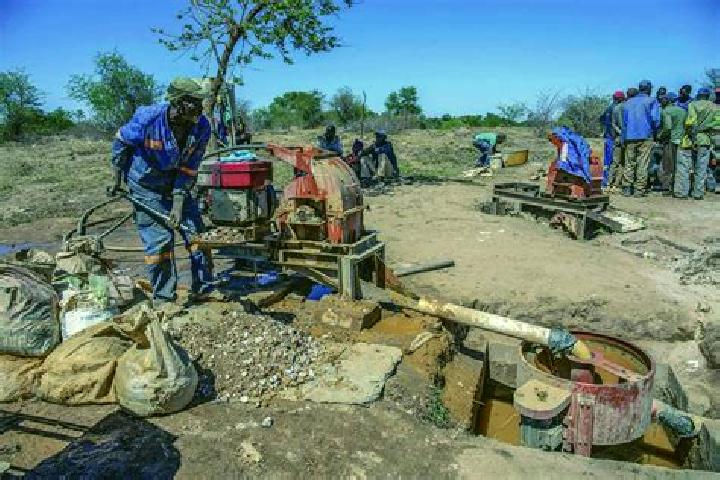 Escorts Centenary, Zimbabwe — Local Companions