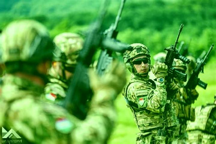 Escorts Cerani, Bosnia and Herzegovina — Local Companions