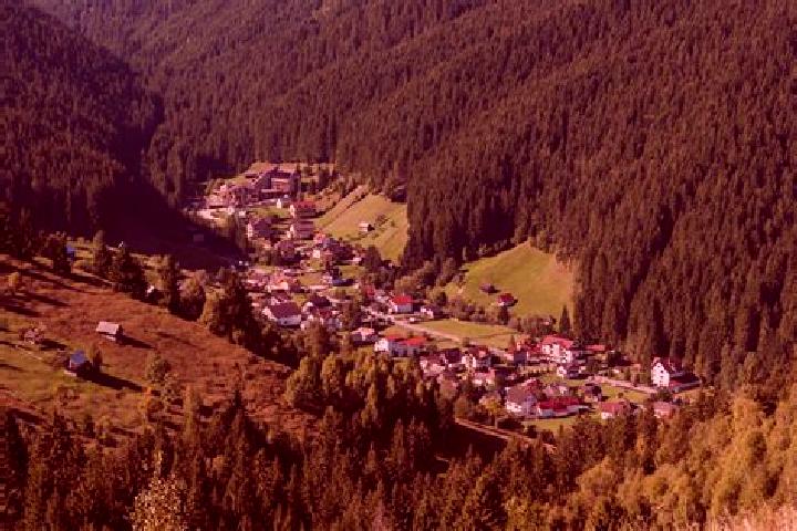 Escorts Cernelele de Sus, Romania — Local Companions