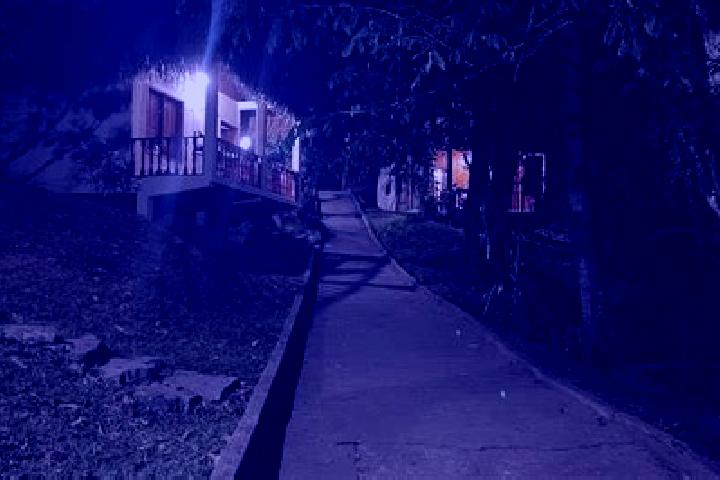 Escorts Cerro Marin (Monte Flor), Mexico — Local Companions