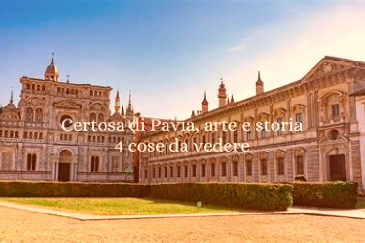 Escorts Certosa di Pavia, Italy — Local Companions