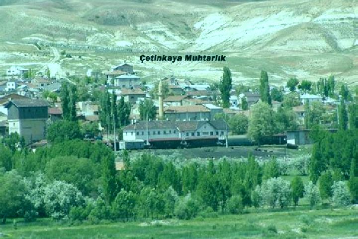 Escorts Cetinkaya, Turkey — Local Companions