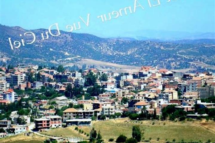 Escorts Chabet el Ameur, Algeria — Local Companions