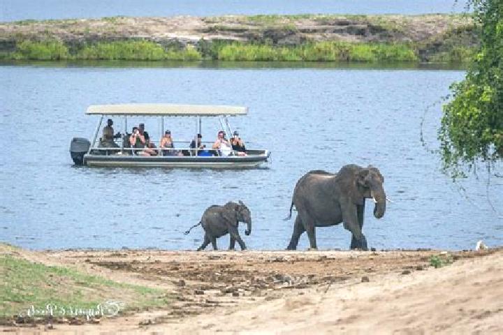 Escorts Chadibe, Botswana — Local Companions
