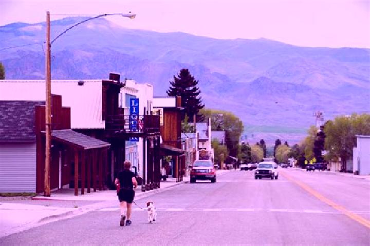 Escorts Challis, United States — Local Companions