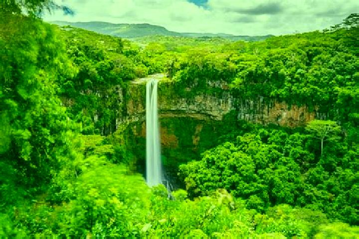Escorts Chamarel, Mauritius — Local Companions