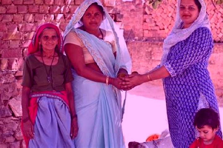 Escorts Chandur Bazar, India — Local Companions